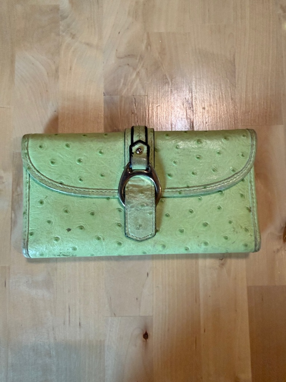 Dooney & Bourke Light Green Faux-Ostrich Leather Wallet with Silver Buckle